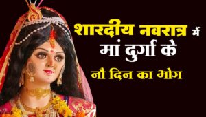 Navratri Vrat Niyam